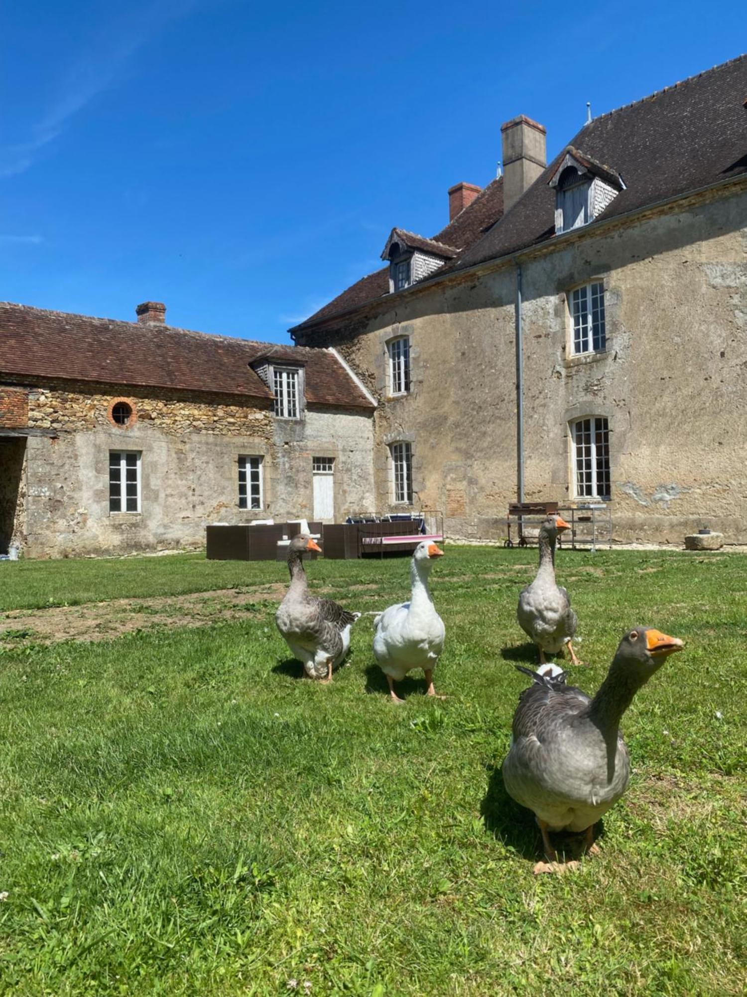Chateau De Grandsagne Bonnat Exterior photo